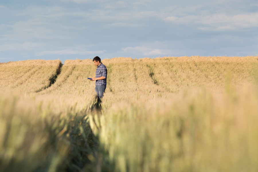 Late summer is the best time to see which acres are underperforming. Here’s how to read the wet spots in your North Dakota field before harvest.